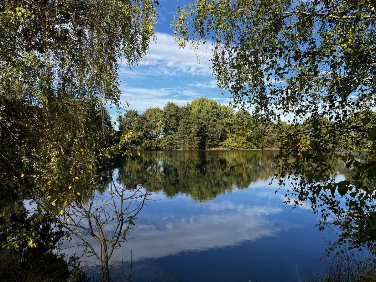 Ferienwohnung Am See Dillich - Hunde Willkommen - Eigener Eingezaeunter Garten - Ruhige Lage Borken (Hessen) Ngoại thất bức ảnh
