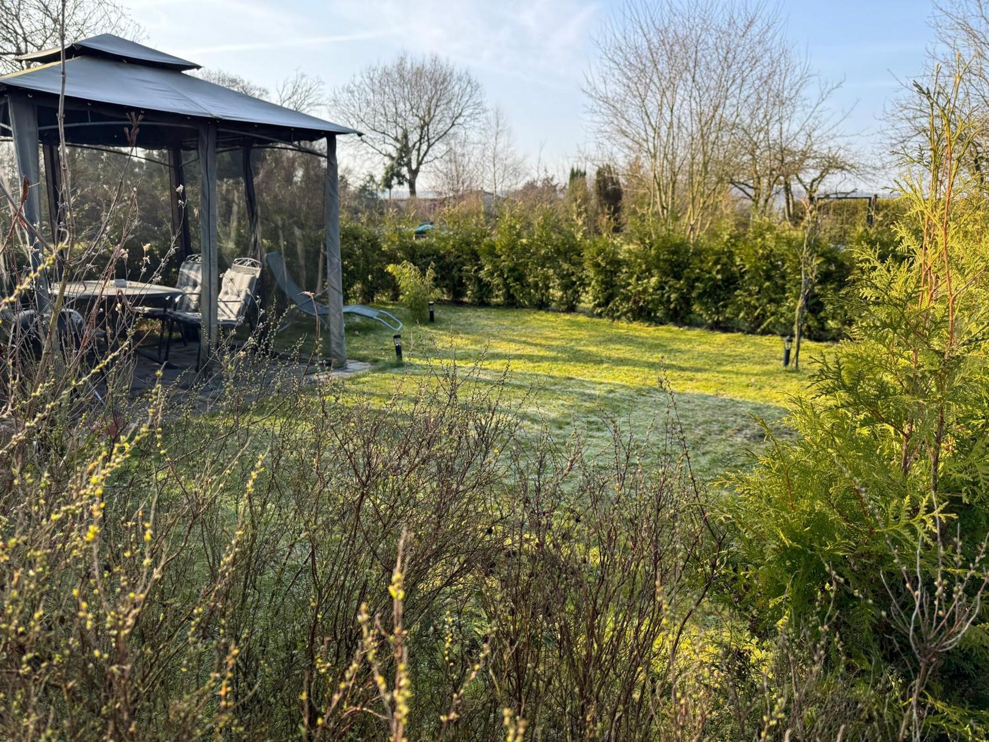Ferienwohnung Am See Dillich - Hunde Willkommen - Eigener Eingezaeunter Garten - Ruhige Lage Borken (Hessen) Ngoại thất bức ảnh
